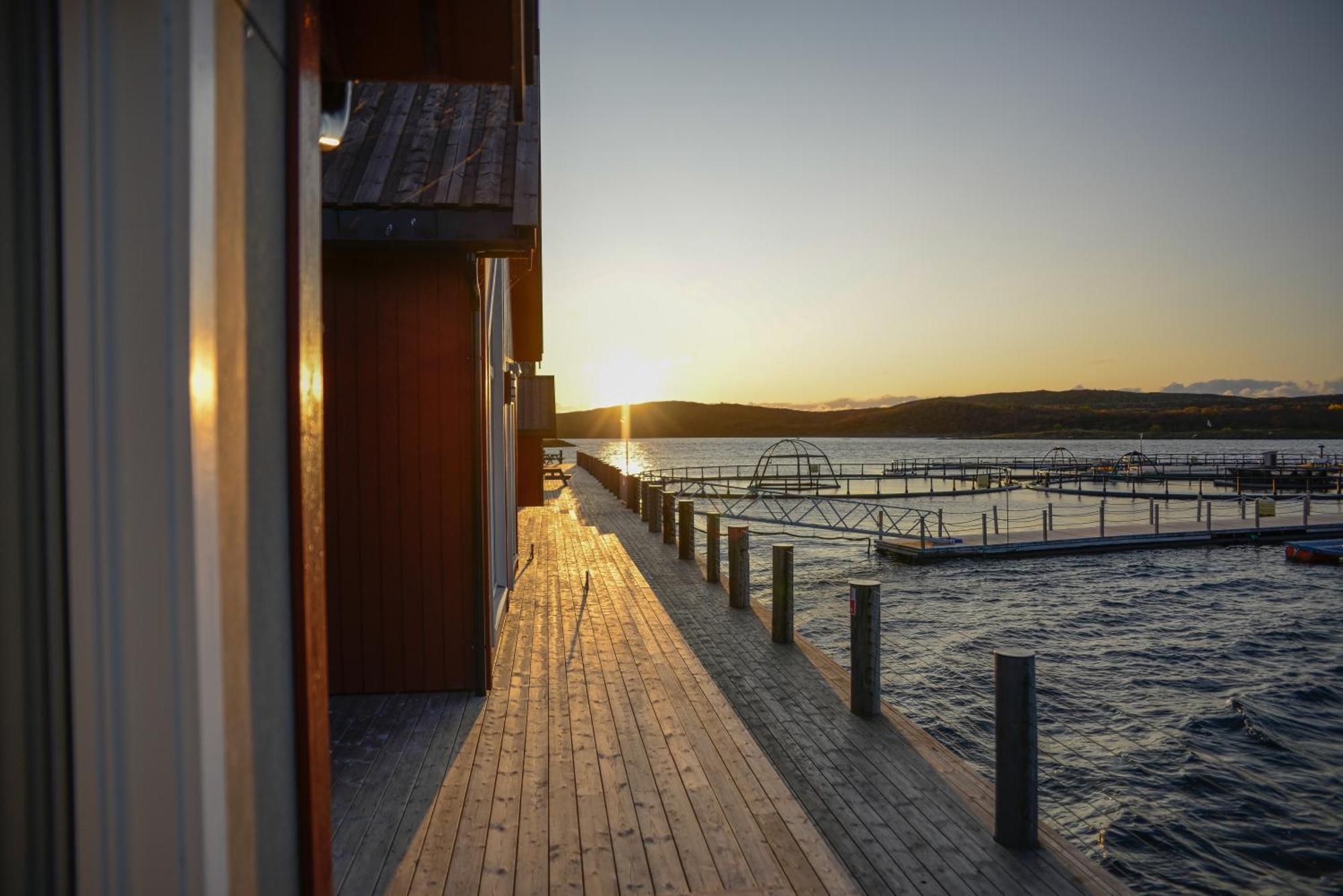 Norsk Havbrukssenter - Rorbuer Hotel Бронойсунд Екстериор снимка